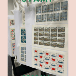 感染症に気をつけましょう😷🍂