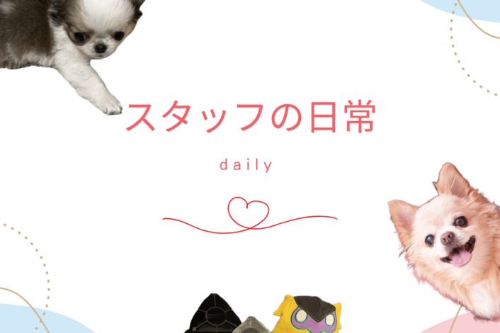 スタッフの日常🐶💞