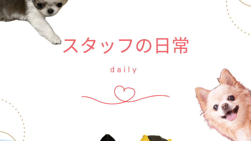 スタッフの日常🐶💞