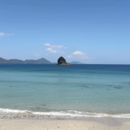 スタッフの日常🏖️✨