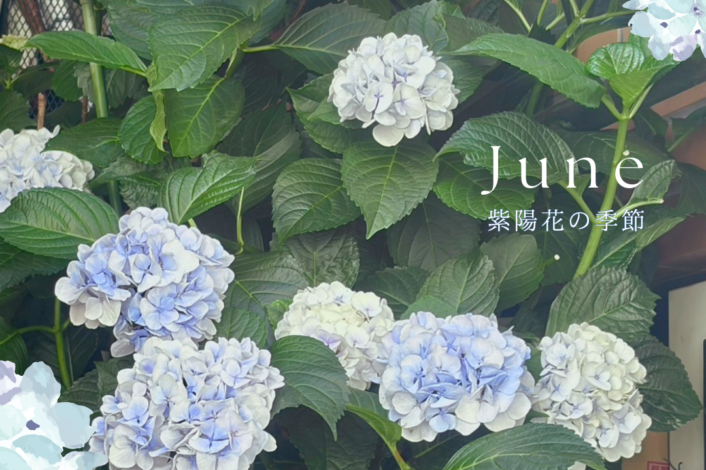 梅雨の季節☔