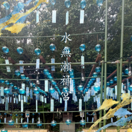 風鈴が綺麗でした💙